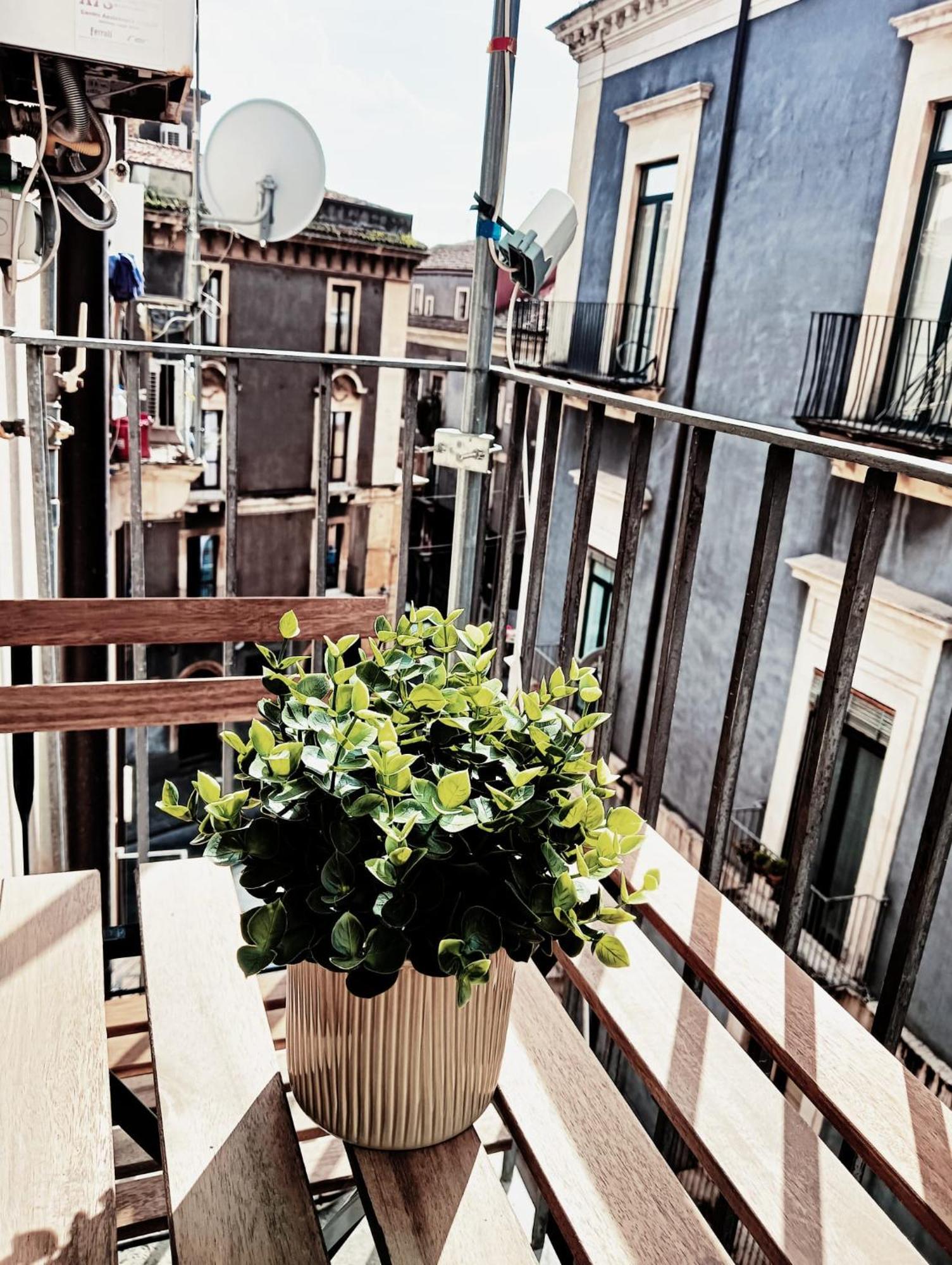 Domus Coppola Catania 아파트 외부 사진